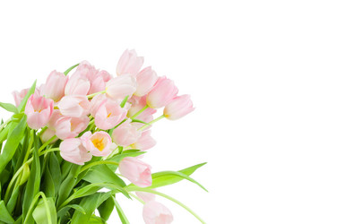 Similar image 223499