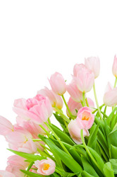 Similar image 223500