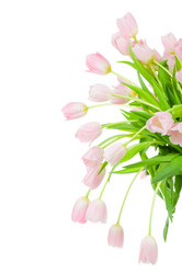 Similar image 223501