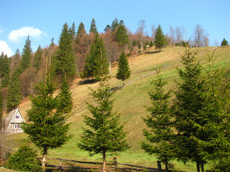 Similar image 223503