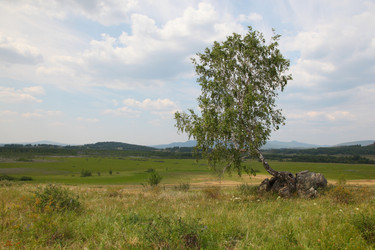 Similar image 223507