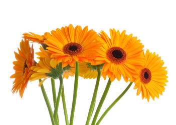 Similar image 223509