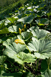 Similar image 223511