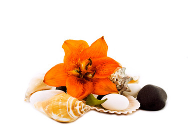 Similar image 223516