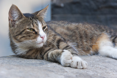 Similar image 223650