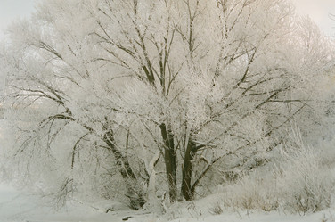 Similar image 223653