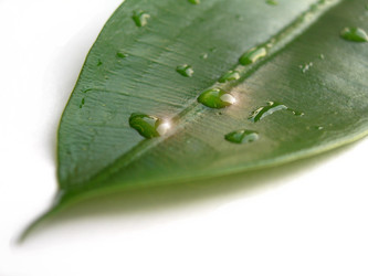 Similar image 223658