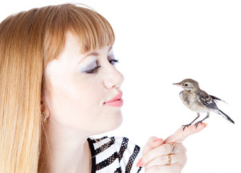 Similar image 223727