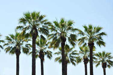 Similar image 223752