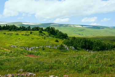 Similar image 223754