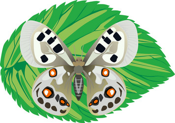 Similar image 223767