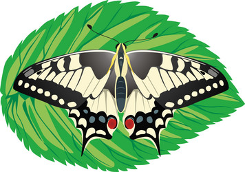 Similar image 223769