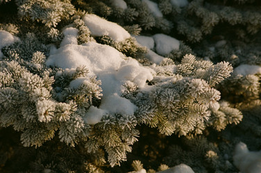 Similar image 223801