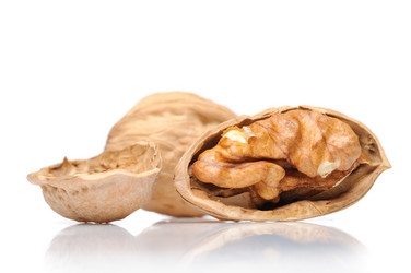 Similar image 223939