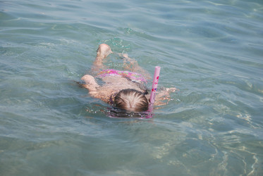 Similar image 223967