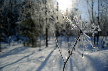 Similar image 223988