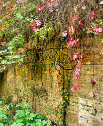 Similar image 224007