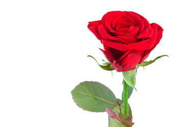 Similar image 224008