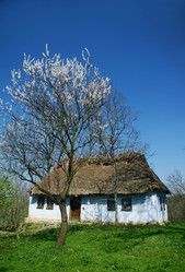 Similar image 224045