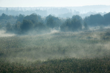 Similar image 224048