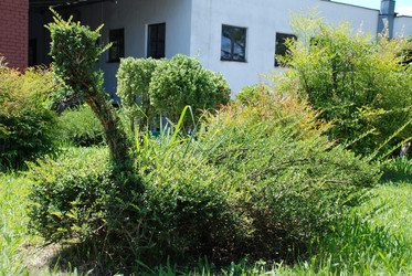 Similar image 224078