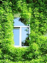 Similar image 224127