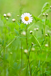 Similar image 224138