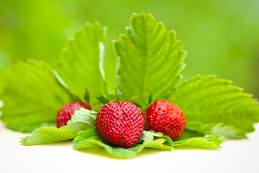 Similar image 224140