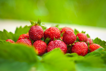 Similar image 224141