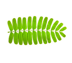 Similar image 224174