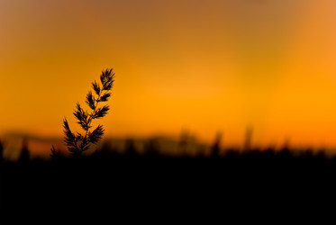 Similar image 224180