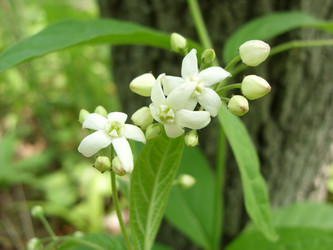 Similar image 224183