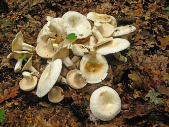 Similar image 224197