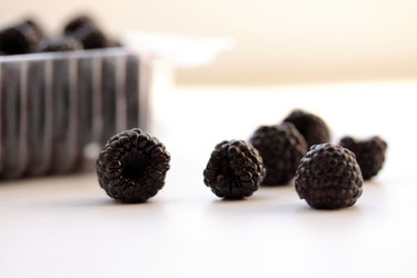 Similar image 224247