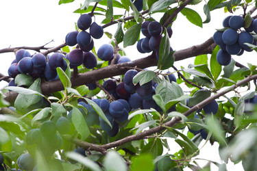 Similar image 224269