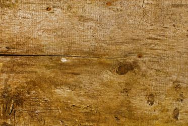 Similar image 224298