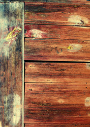 Similar image 224303