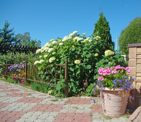 Similar image 224381