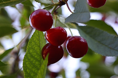 Similar image 224390