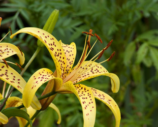 Similar image 224391