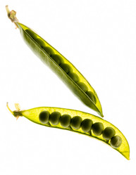 Similar image 224464