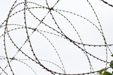 Similar image 224476