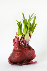 Similar image 224479