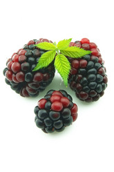 Similar image 224494