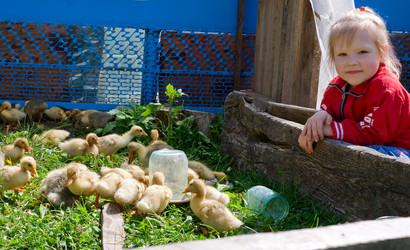 Similar image 224500