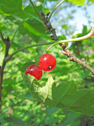 Similar image 224518