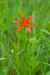 Similar image 224524