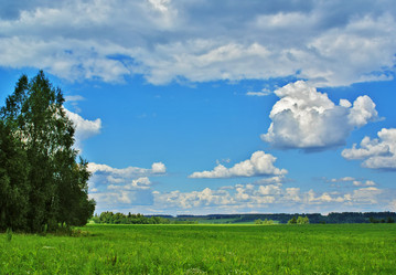 Similar image 224527