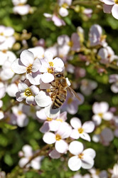 Similar image 224528