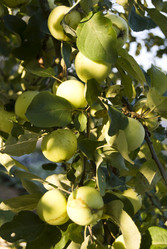 Similar image 224531